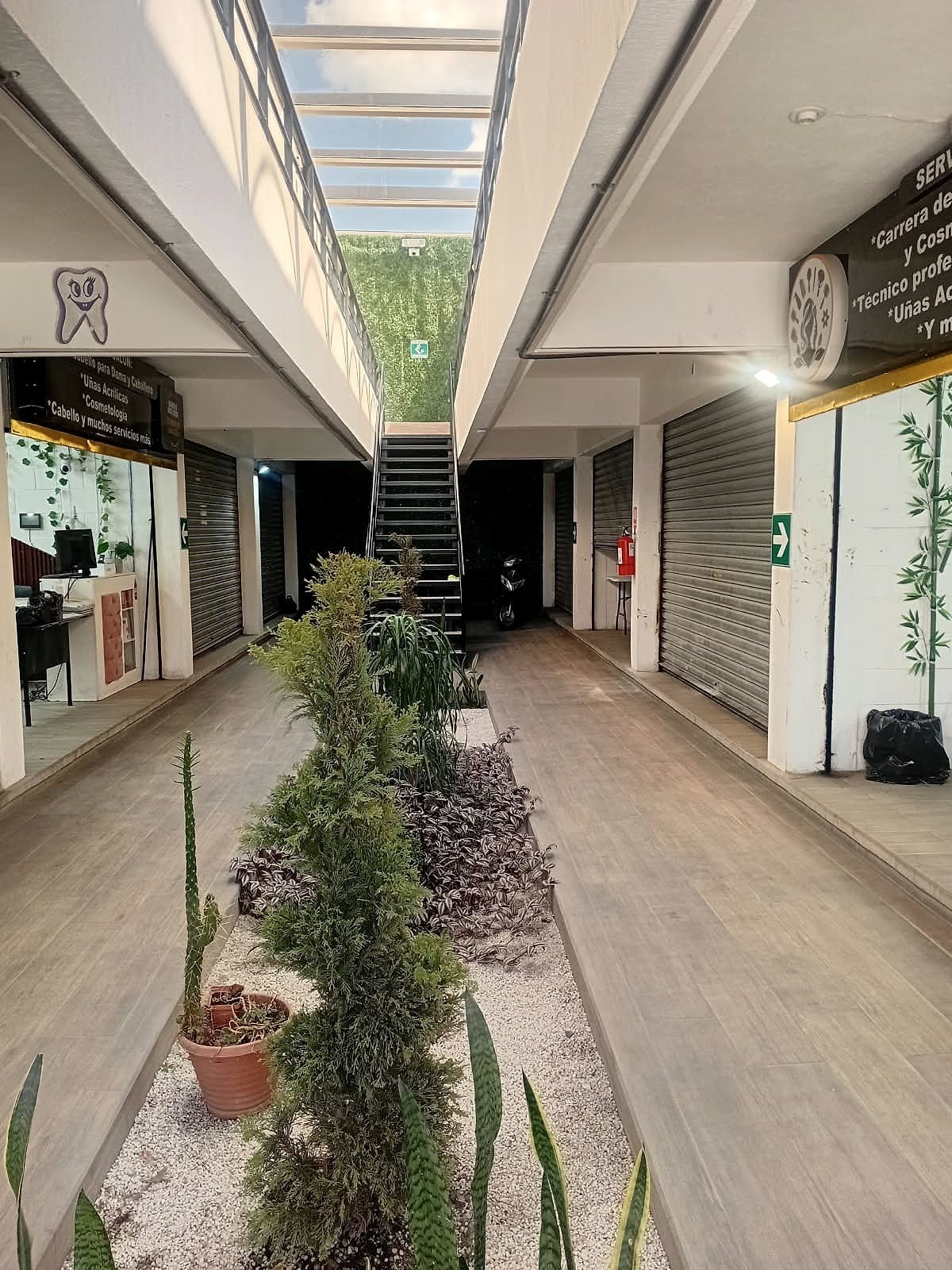 Corredor interior con jardín central de Empresarial El Progreso